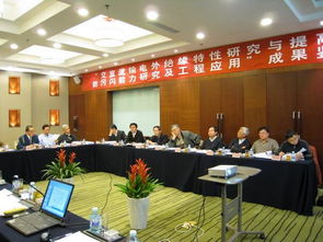 交直流输电污秽外绝缘特性研究与防污闪技术提升工程应用项目技术鉴定会圆满召开